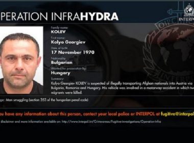 интерпол