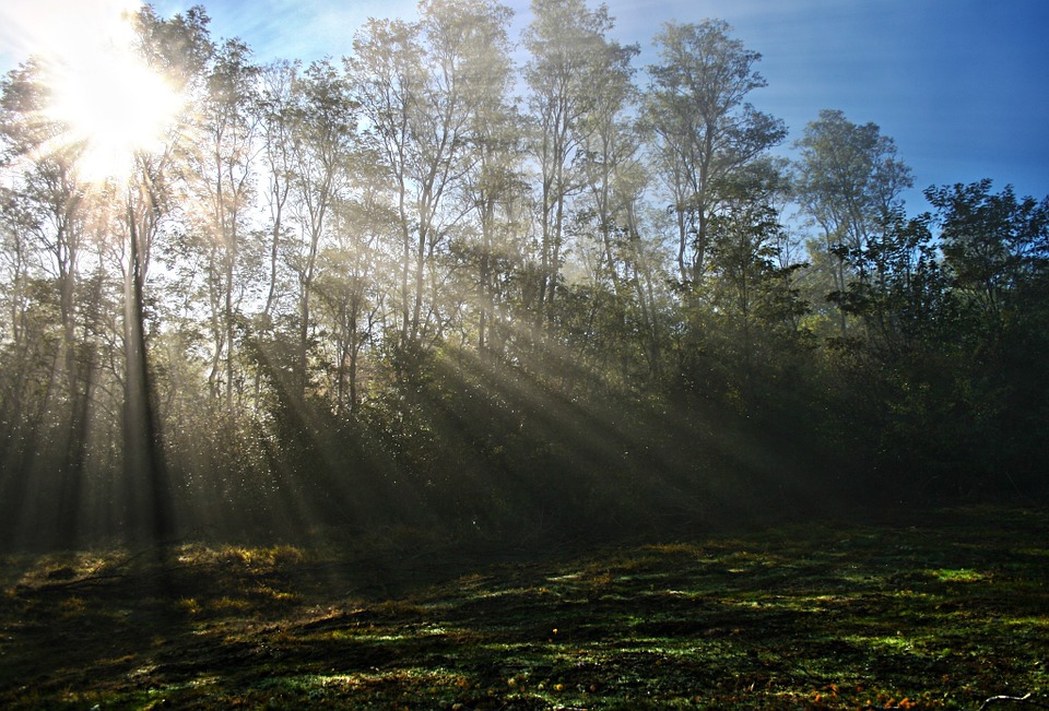 слънчево