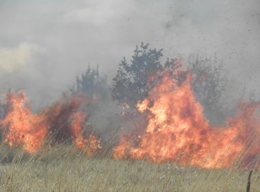 пожарът избухнаха Ихтиман