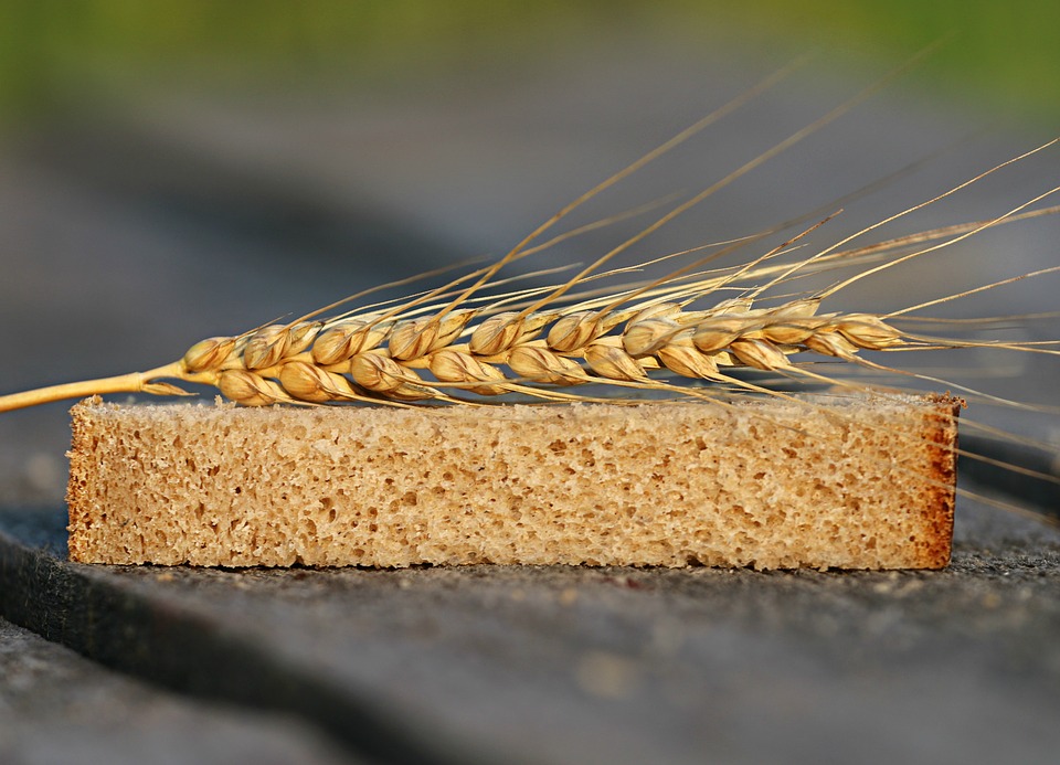 bread-1520402_960_720