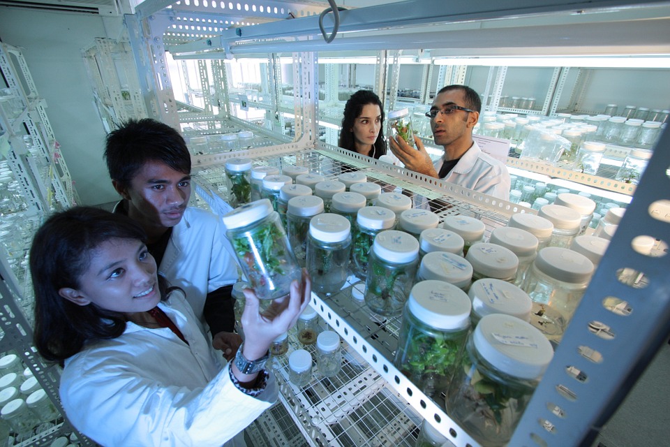 laboratory-385349_960_720