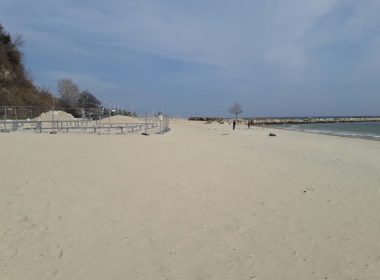 Зелените