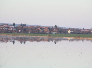 Иново