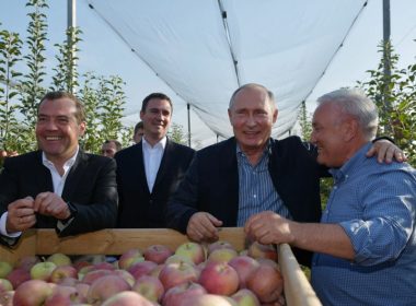 ябълки