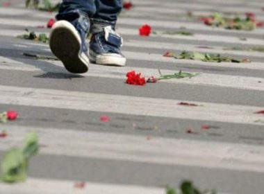 ден за безопасност на движението по пътищата правителство