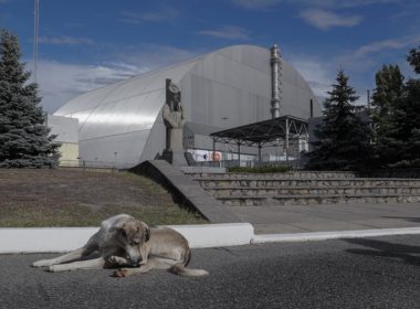 Чернобил водка зърно