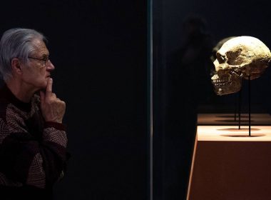 неандертаци изчезване причини, изследване