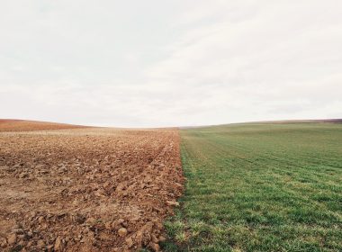 земеделци, помощ, кредити, пандемия