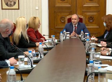 Мая Манолова, Отровното трио, Радев, консултации