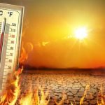 Смъртните случаи заради горещините са нараснали с 63%