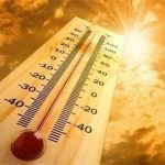 Горещините в Австрия това лято взеха рекорден брой жертви