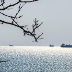 Румъния и Турция засилват сътрудничеството в Черно море след атаката край Констанца