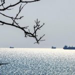 Русия с нова атака срещу товарен кораб в Черно море, транспортиращ военни доставки към Одеса