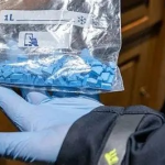 Нидерландската полиция разби мрежа за продажба на смъртоносни хапчета в десетки онлайн магазини